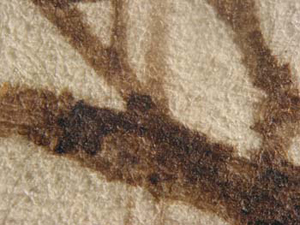Fig_13